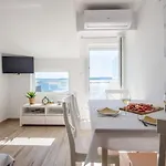 Amneris * トロギール